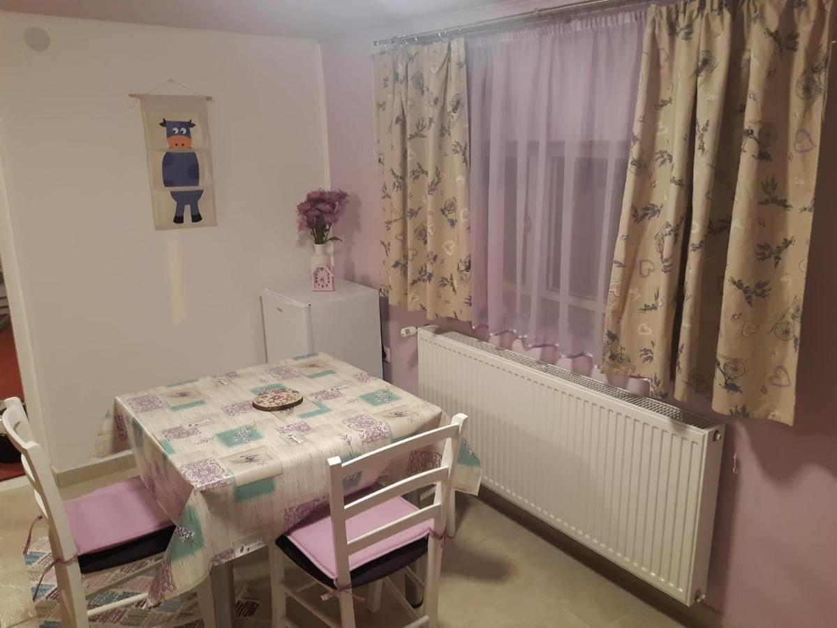 Studio Apartman Small Lili Popovaca Kültér fotó