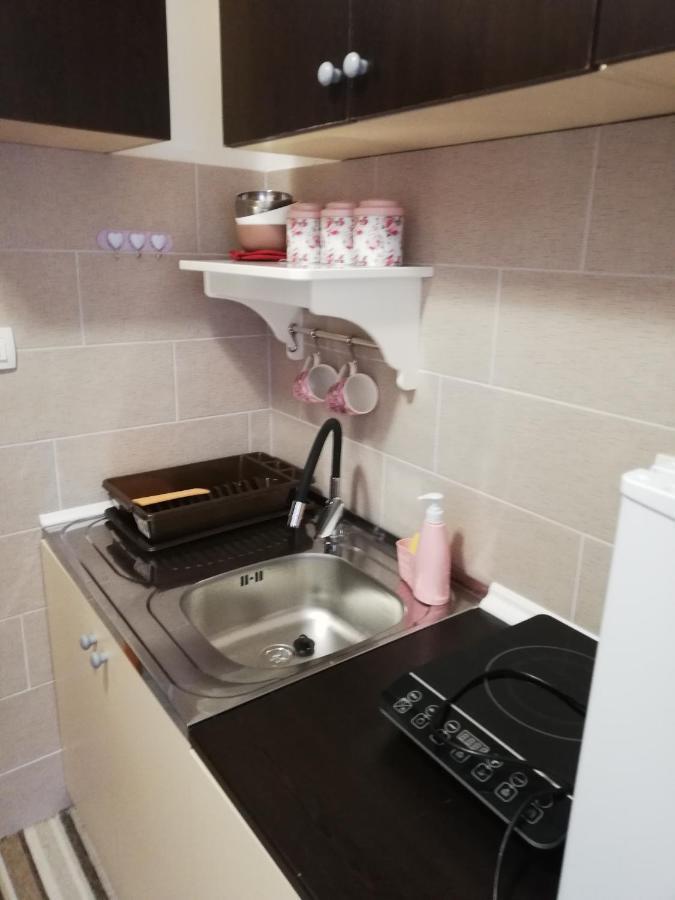 Studio Apartman Small Lili Popovaca Kültér fotó